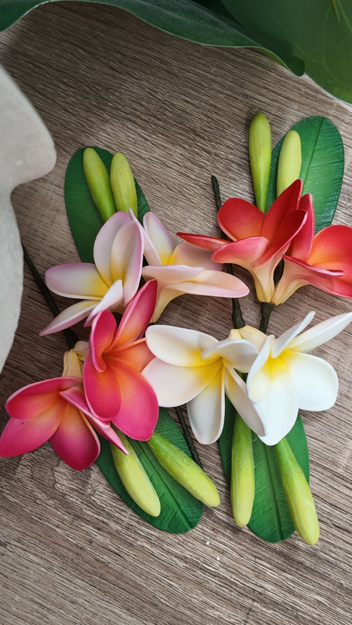 Double Hair Plumeria Sei