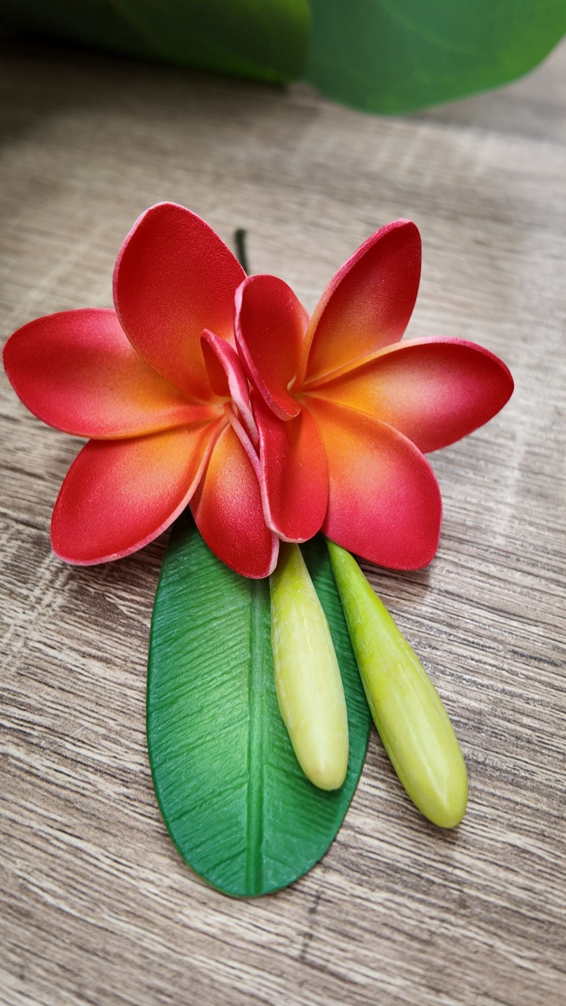 Double Hair Plumeria Sei