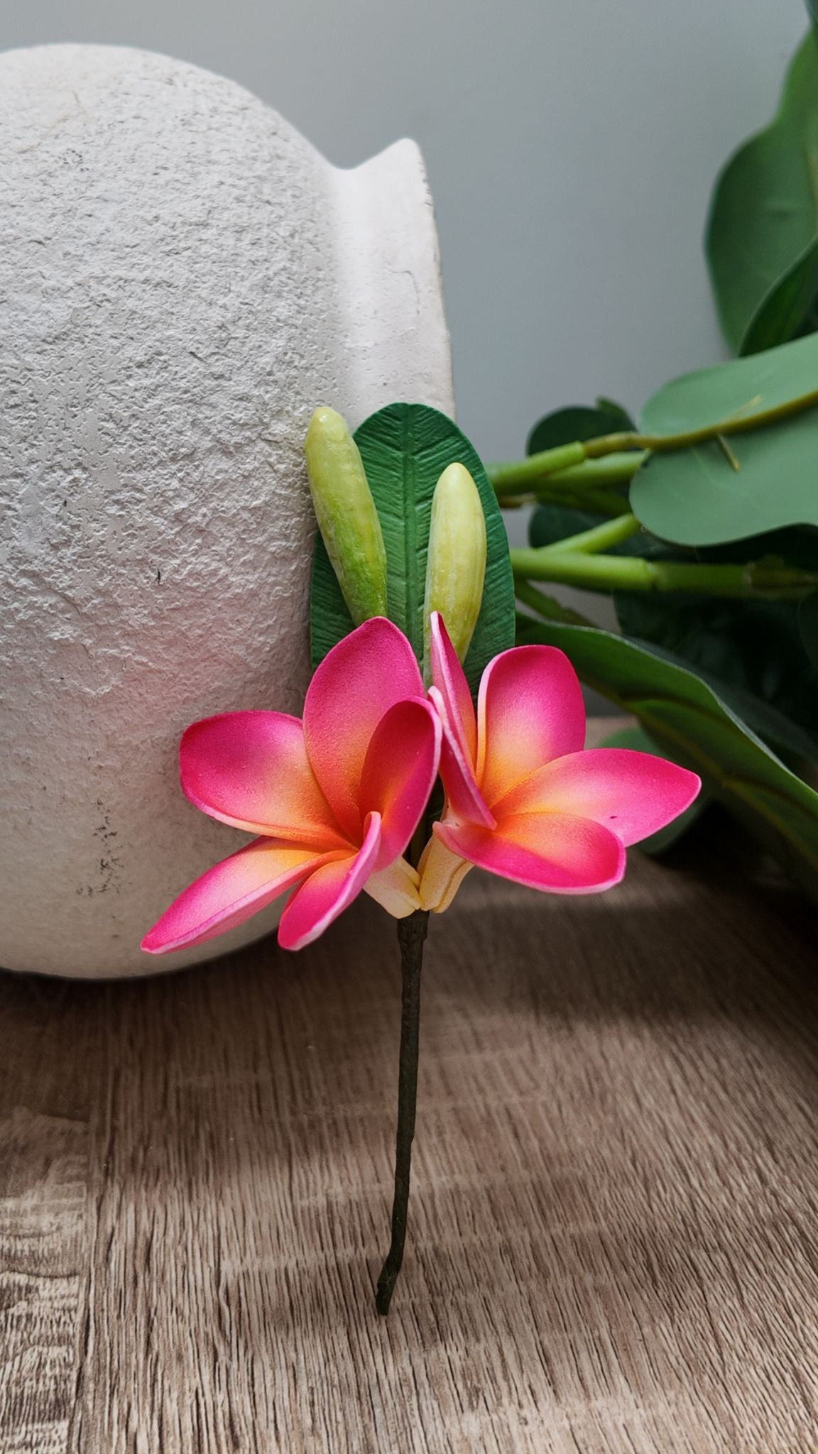 Double Hair Plumeria Sei