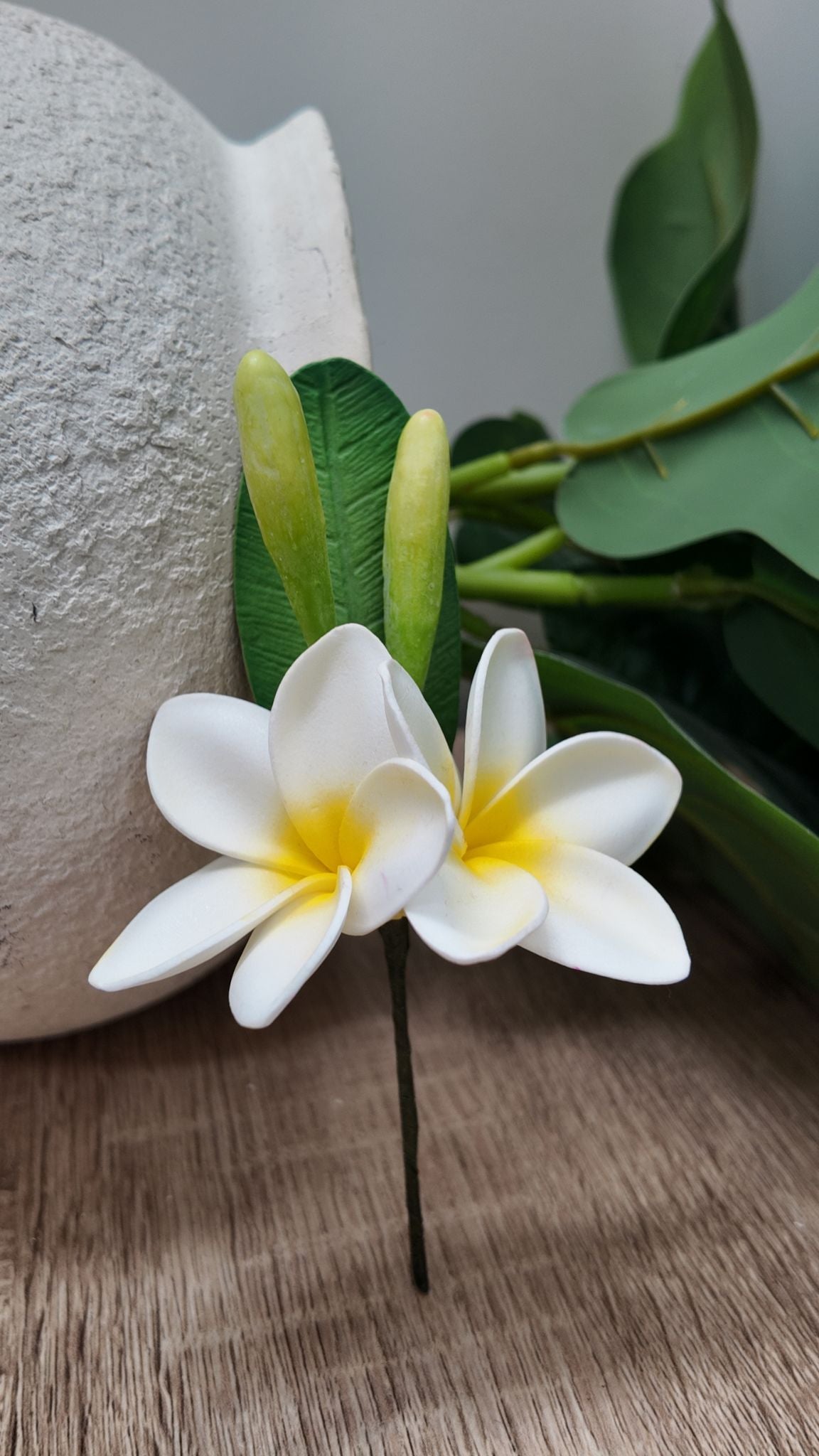 Double Hair Plumeria Sei
