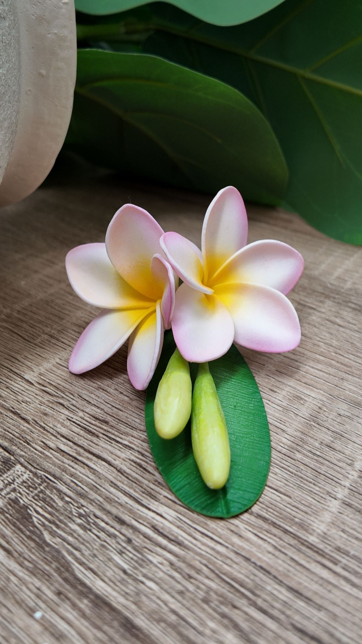 Double Hair Plumeria Sei