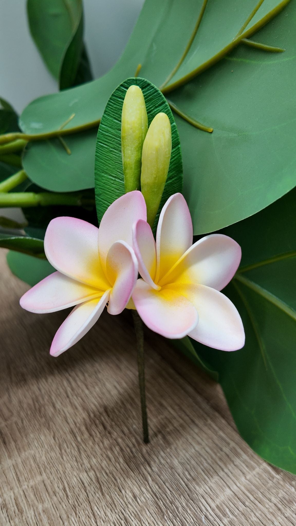 Double Hair Plumeria Sei
