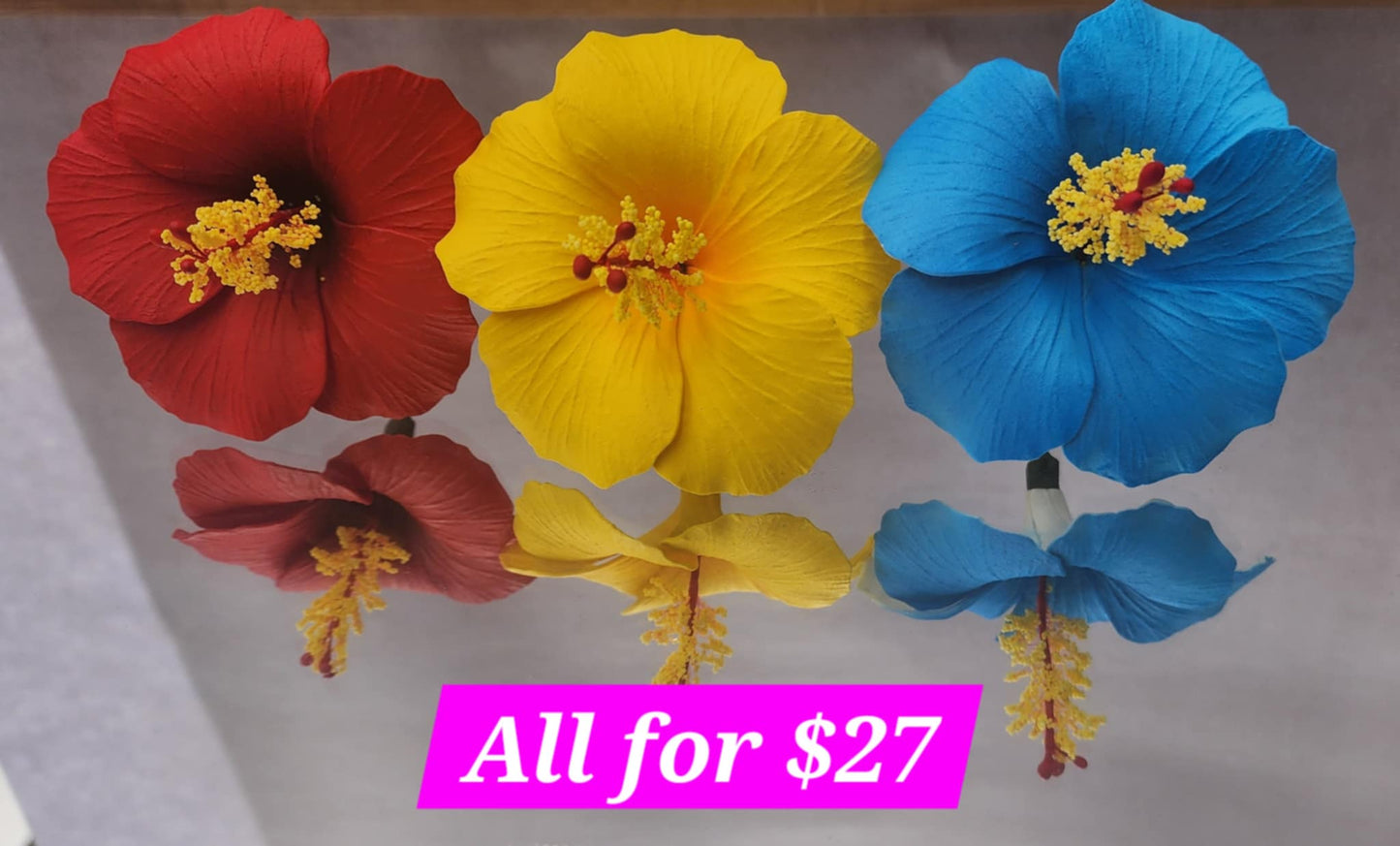 Aulelei Aute Bundle 1