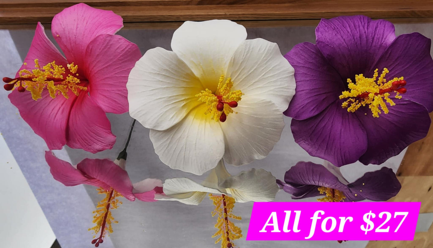 Aulelei Aute Bundle 2