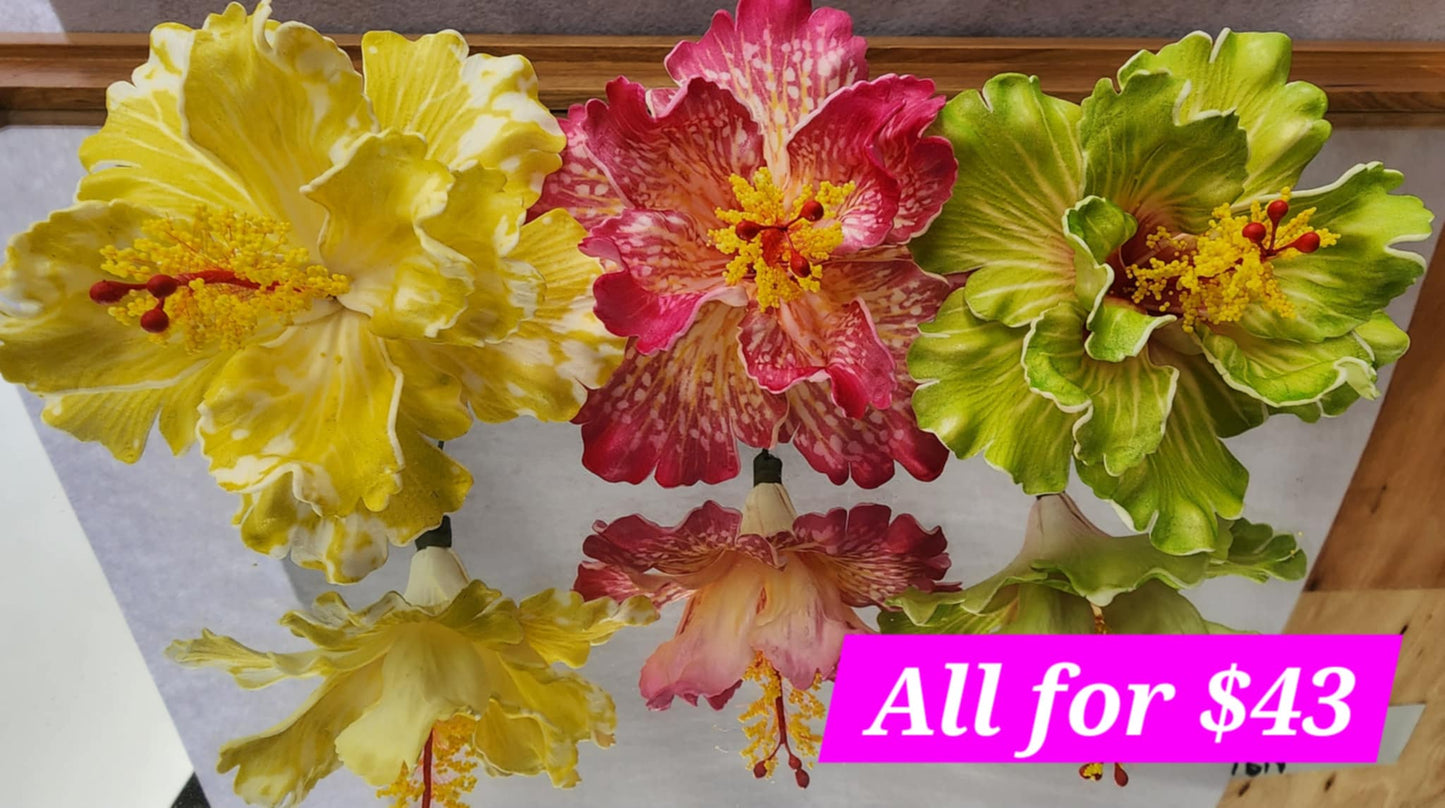Extra Large Hibiscus Bundle 2