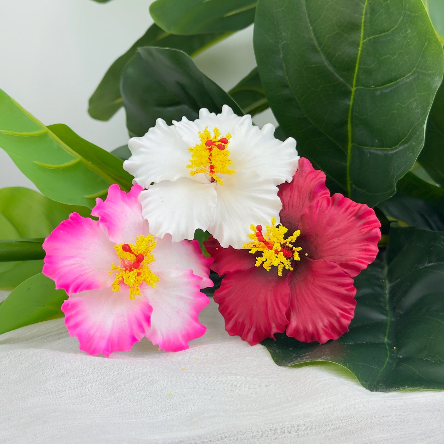 Hibiscus Bundle 2
