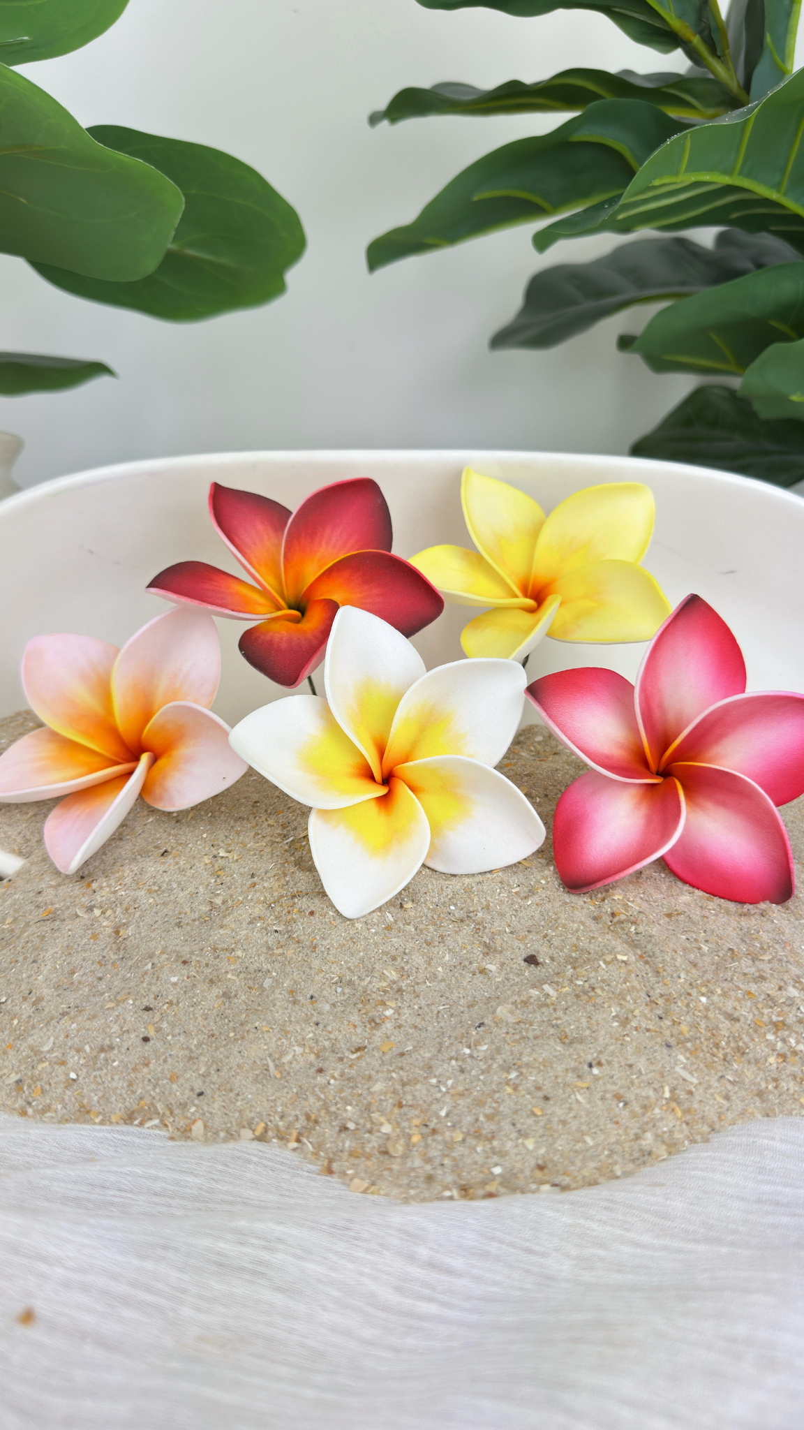 Plumeria