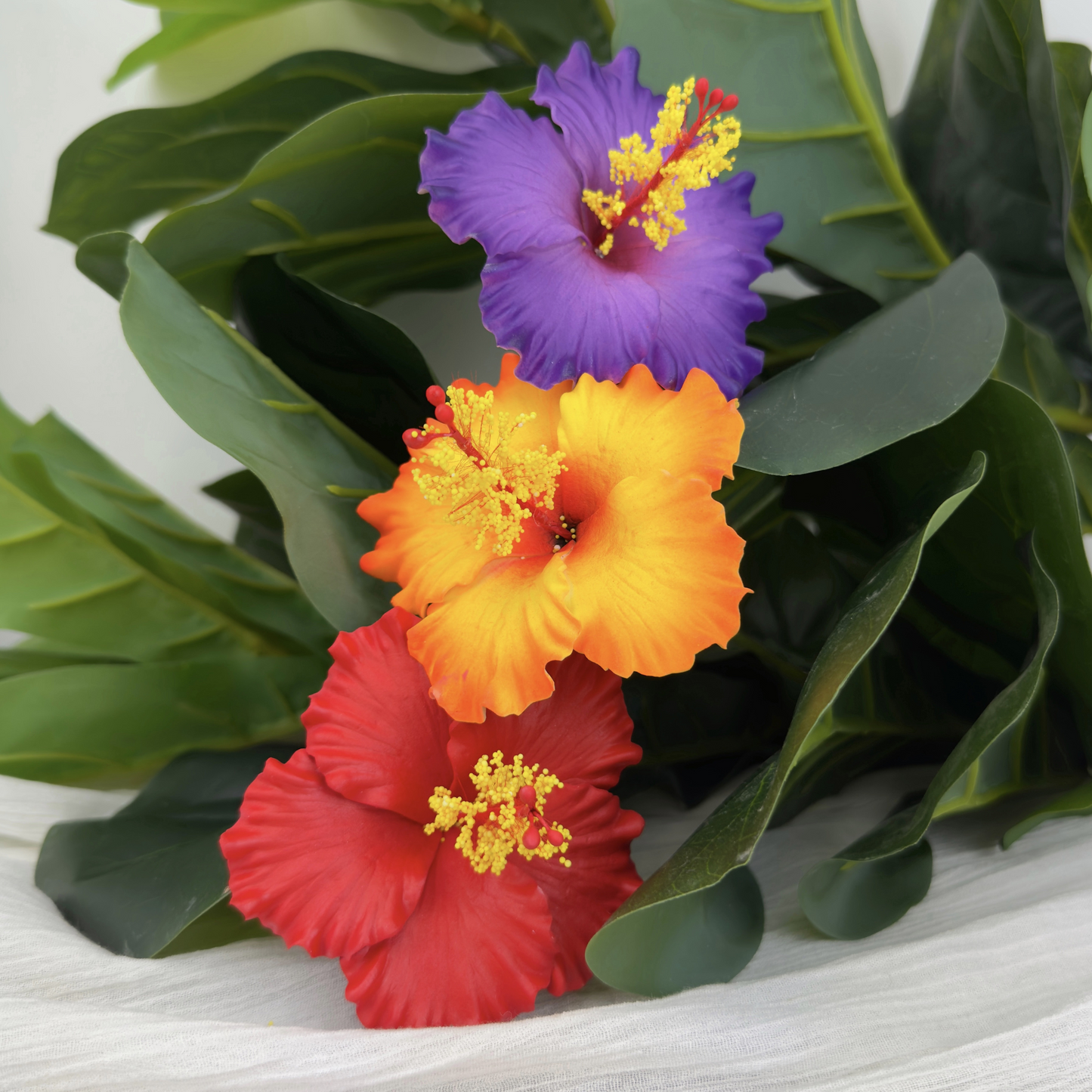 Hibiscus Bundle 1
