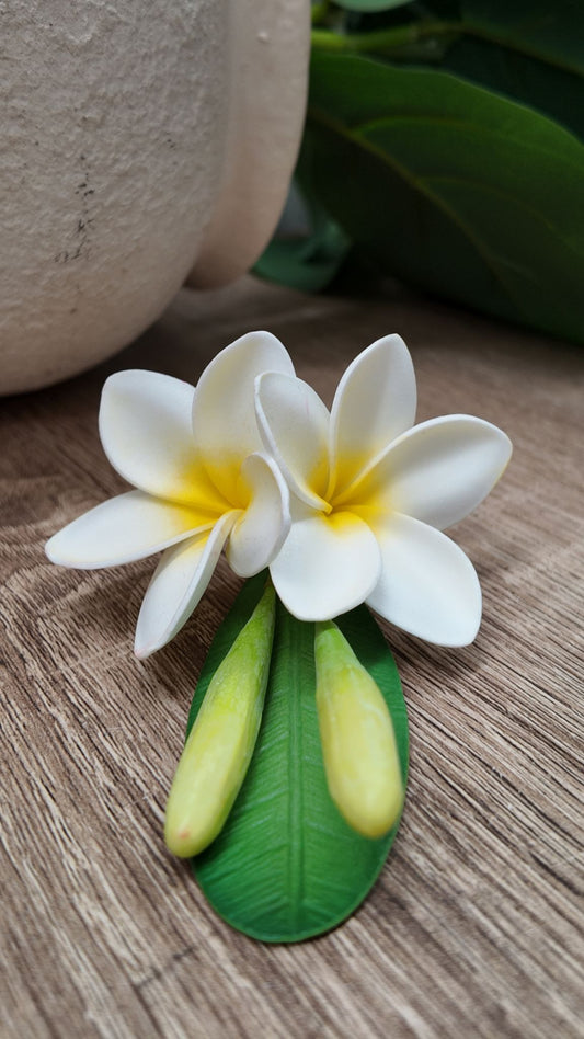 Double Hair Plumeria Sei