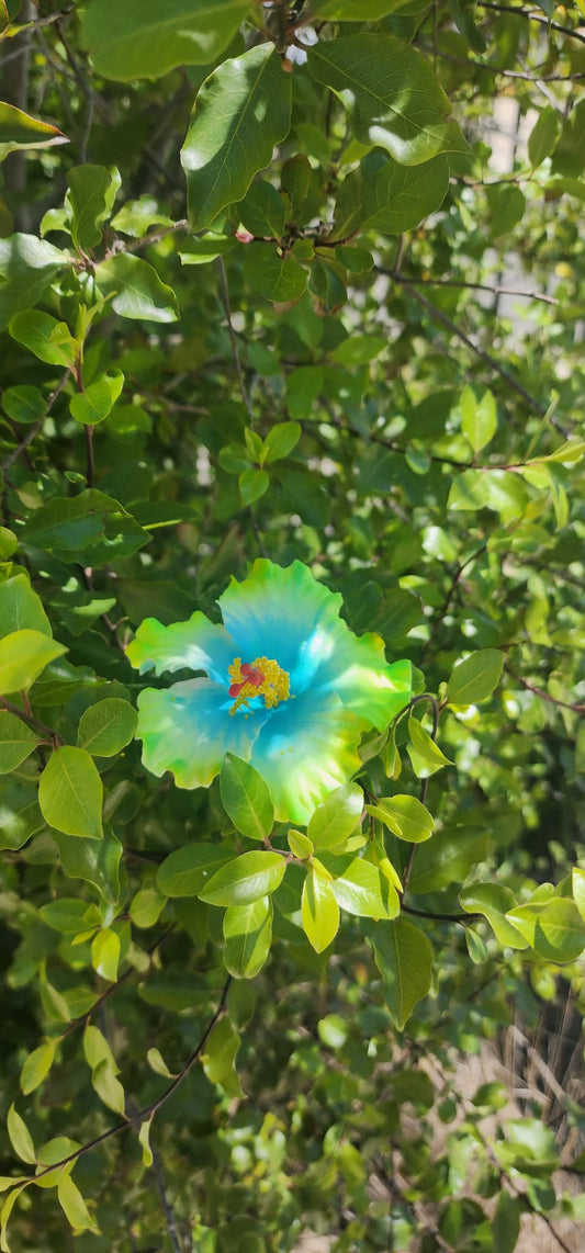 Baby Green with Blue Aute (9cm)