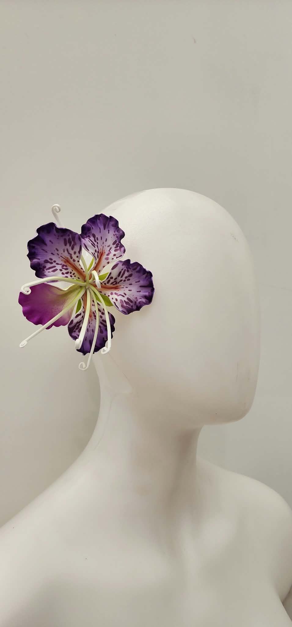 Hauʻoli au Purple Sei